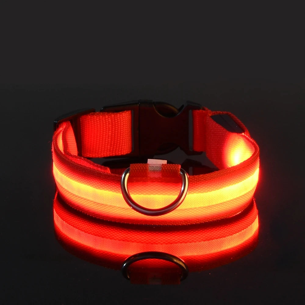 LED Glow In Dark Dog Collar & Leash | Night Safety Luminous Set