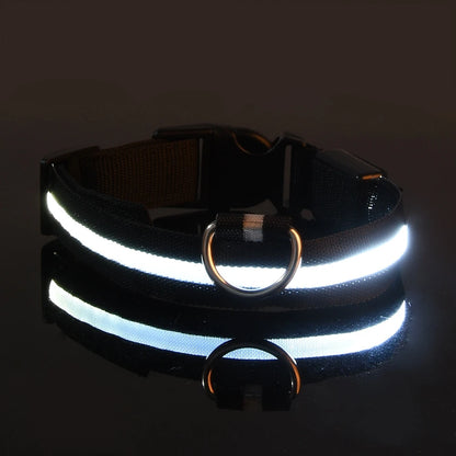 LED Glow In Dark Dog Collar & Leash | Night Safety Luminous Set