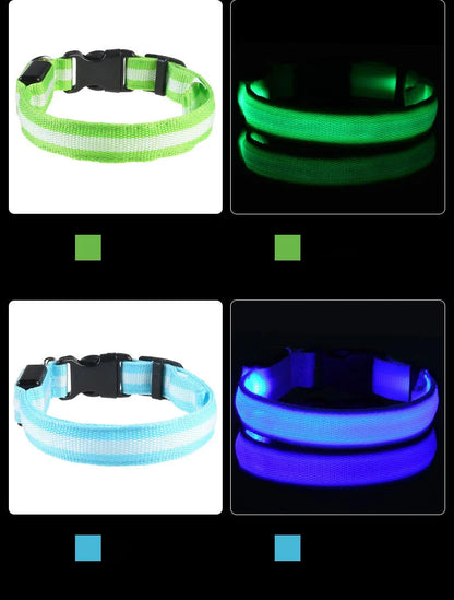 LED Glow In Dark Dog Collar & Leash | Night Safety Luminous Set