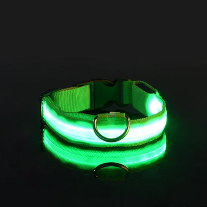 LED Glow In Dark Dog Collar & Leash | Night Safety Luminous Set