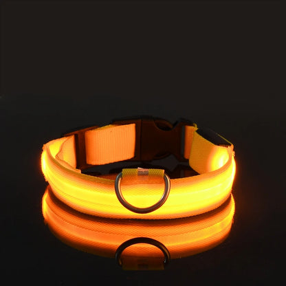 LED Glow In Dark Dog Collar & Leash | Night Safety Luminous Set
