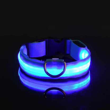 LED Glow In Dark Dog Collar & Leash | Night Safety Luminous Set