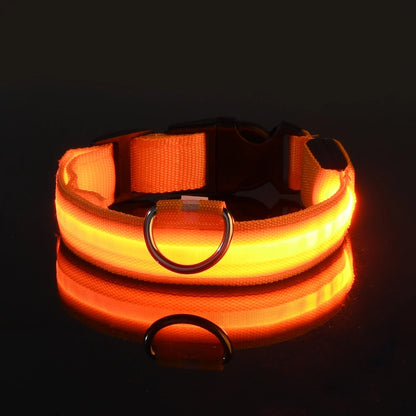 LED Glow In Dark Dog Collar & Leash | Night Safety Luminous Set