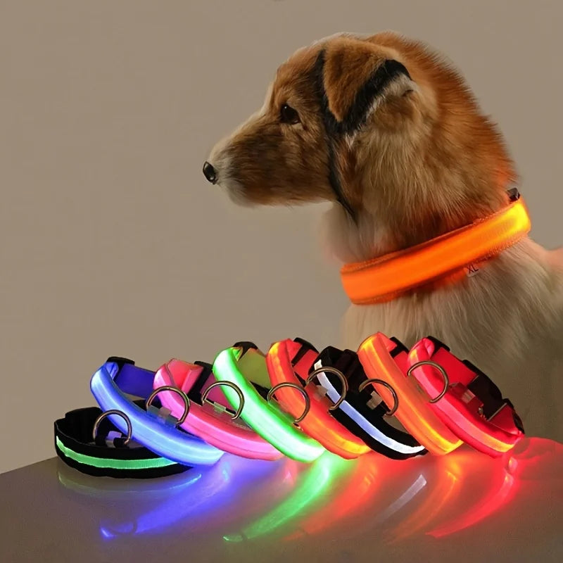 LED Glow In Dark Dog Collar & Leash | Night Safety Luminous Set