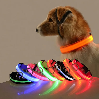 LED Glow In Dark Dog Collar & Leash | Night Safety Luminous Set