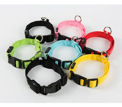 LED Glow In Dark Dog Collar & Leash | Night Safety Luminous Set