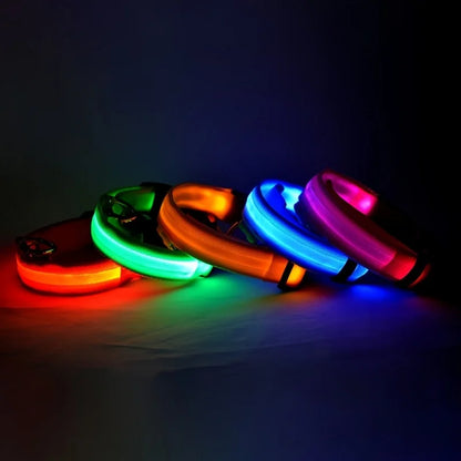 LED Glow In Dark Dog Collar & Leash | Night Safety Luminous Set