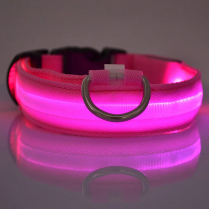 LED Glow In Dark Dog Collar & Leash | Night Safety Luminous Set