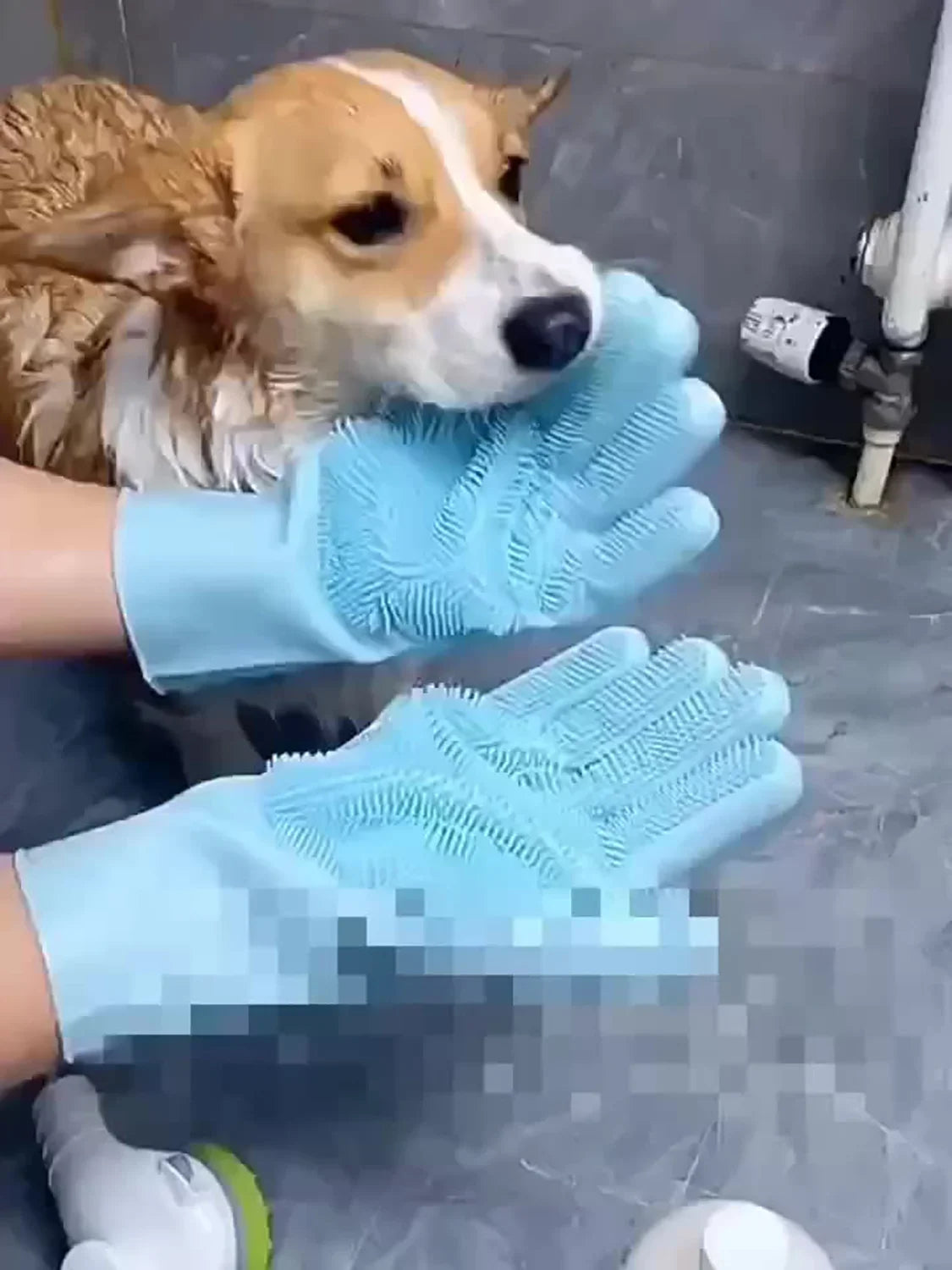 Silicone Pet Grooming Bath Glove | Dog & Cat Hair Remover Scrubber