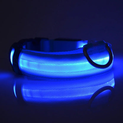 LED Glow In Dark Dog Collar & Leash | Night Safety Luminous Set