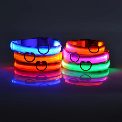 LED Glow In Dark Dog Collar & Leash | Night Safety Luminous Set