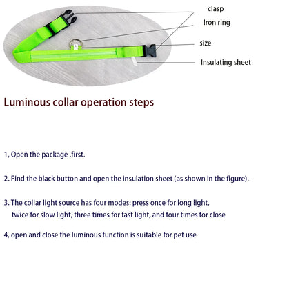 LED Glow In Dark Dog Collar & Leash | Night Safety Luminous Set