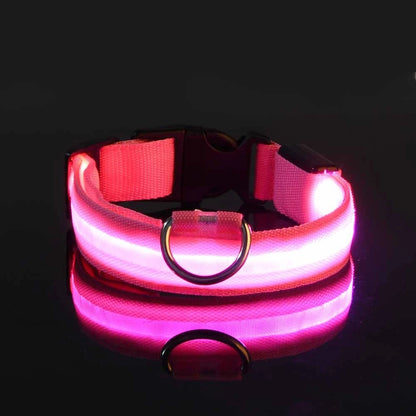 LED Glow In Dark Dog Collar & Leash | Night Safety Luminous Set