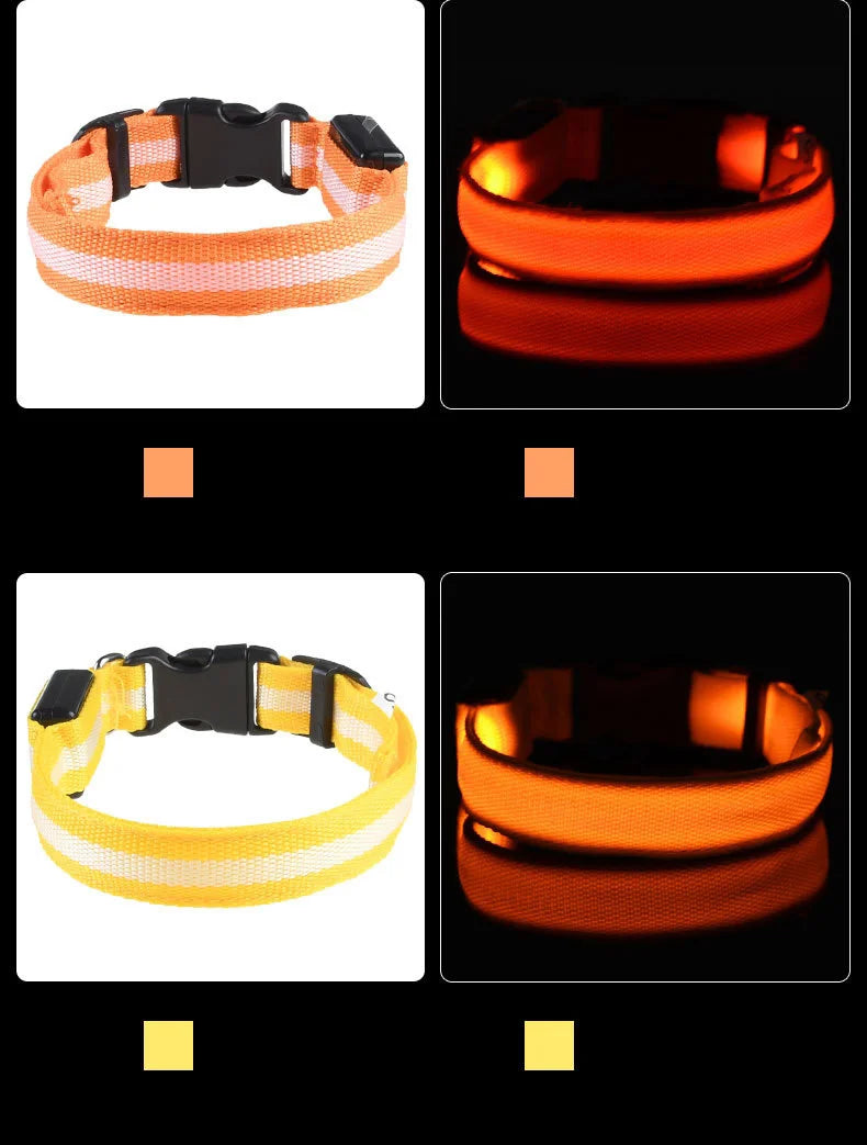 LED Glow In Dark Dog Collar & Leash | Night Safety Luminous Set