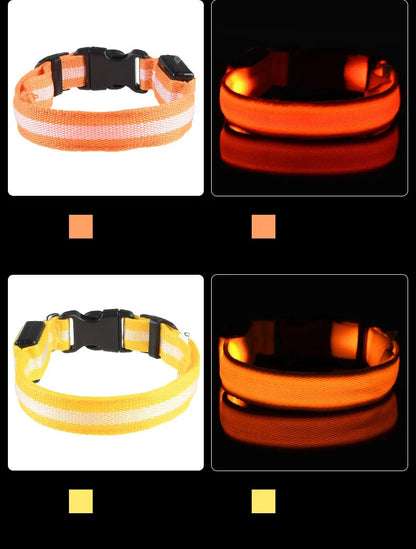 LED Glow In Dark Dog Collar & Leash | Night Safety Luminous Set