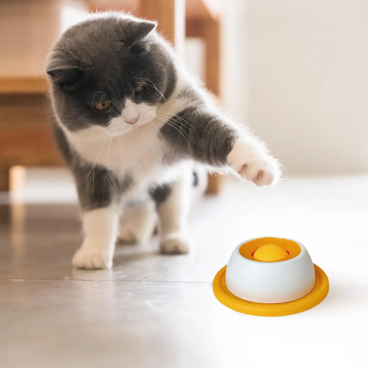 Interactive Dog Puzzle Slow Feeder Toy | Boredom Relief Treat Dispenser