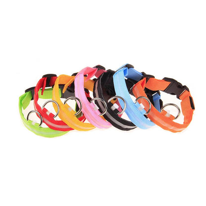 LED Glow In Dark Dog Collar & Leash | Night Safety Luminous Set