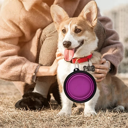 Collapsible Silicone Travel Pet Bowl | Portable Dog & Cat Food Water Dish