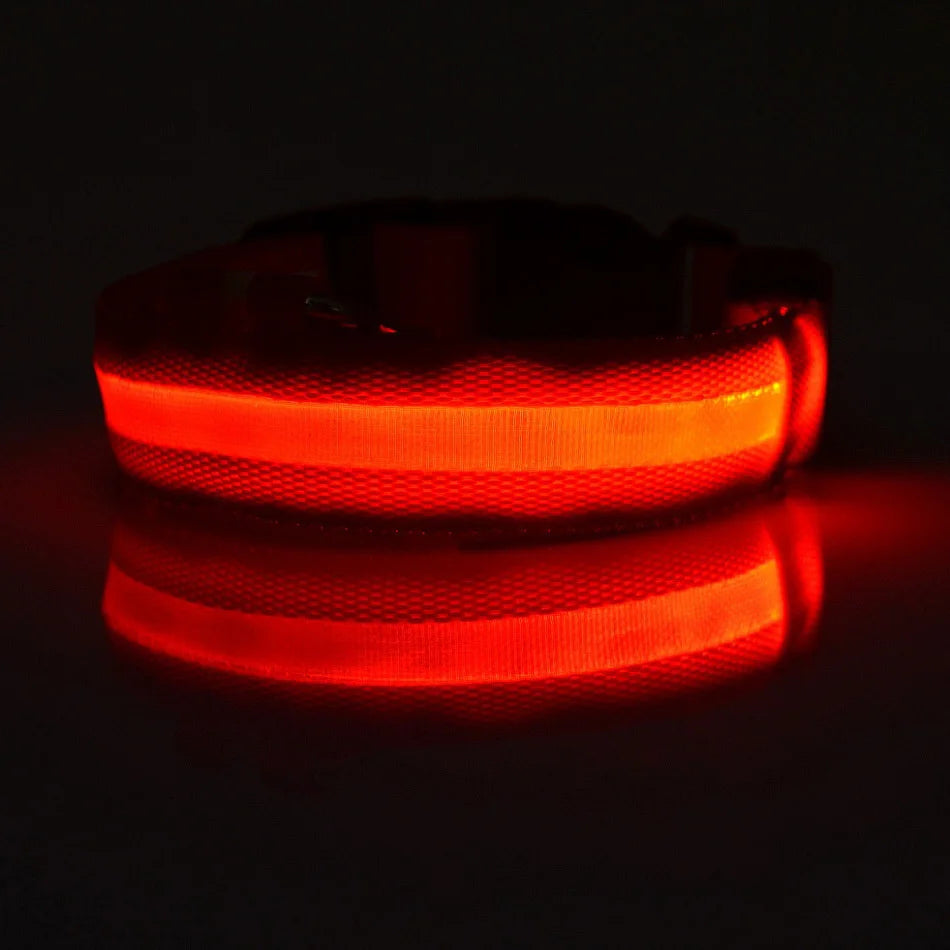 LED Glow In Dark Dog Collar & Leash | Night Safety Luminous Set
