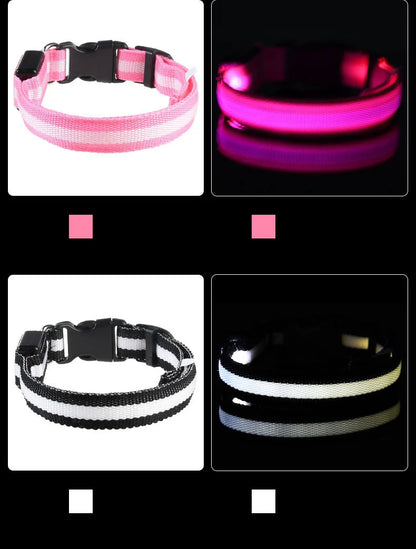 LED Glow In Dark Dog Collar & Leash | Night Safety Luminous Set