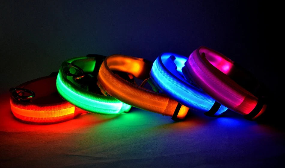 LED Glow In Dark Dog Collar & Leash | Night Safety Luminous Set