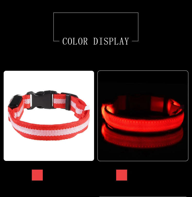 LED Glow In Dark Dog Collar & Leash | Night Safety Luminous Set
